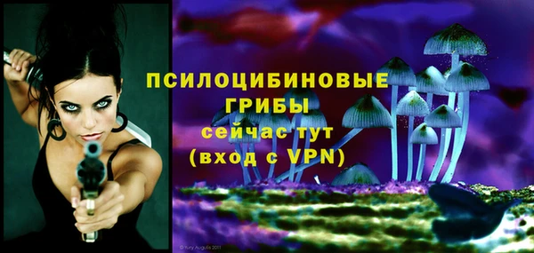 винт Баксан