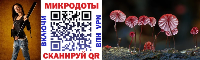 дарнет шоп  Чистополь  Псилоцибиновые грибы Psilocybe 